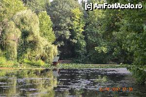 [P12] Lacul cu nuferi.  » foto by fregata
 - 
<span class="allrVoted glyphicon glyphicon-heart hidden" id="av438161"></span>
<a class="m-l-10 hidden" id="sv438161" onclick="voting_Foto_DelVot(,438161,14561)" role="button">șterge vot <span class="glyphicon glyphicon-remove"></span></a>
<a id="v9438161" class=" c-red"  onclick="voting_Foto_SetVot(438161)" role="button"><span class="glyphicon glyphicon-heart-empty"></span> <b>LIKE</b> = Votează poza</a> <img class="hidden"  id="f438161W9" src="/imagini/loader.gif" border="0" /><span class="AjErrMes hidden" id="e438161ErM"></span>