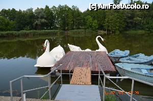 [P30] Hidrobiciclete si barcute de agrement ce pot fi folosite pe lac.  » foto by fregata
 - 
<span class="allrVoted glyphicon glyphicon-heart hidden" id="av438190"></span>
<a class="m-l-10 hidden" id="sv438190" onclick="voting_Foto_DelVot(,438190,14561)" role="button">șterge vot <span class="glyphicon glyphicon-remove"></span></a>
<a id="v9438190" class=" c-red"  onclick="voting_Foto_SetVot(438190)" role="button"><span class="glyphicon glyphicon-heart-empty"></span> <b>LIKE</b> = Votează poza</a> <img class="hidden"  id="f438190W9" src="/imagini/loader.gif" border="0" /><span class="AjErrMes hidden" id="e438190ErM"></span>