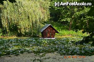 [P05] Casutade pe apa, a lui' Baba Iaga' si lacul cu nuferi.  » foto by fregata
 - 
<span class="allrVoted glyphicon glyphicon-heart hidden" id="av438153"></span>
<a class="m-l-10 hidden" id="sv438153" onclick="voting_Foto_DelVot(,438153,14561)" role="button">șterge vot <span class="glyphicon glyphicon-remove"></span></a>
<a id="v9438153" class=" c-red"  onclick="voting_Foto_SetVot(438153)" role="button"><span class="glyphicon glyphicon-heart-empty"></span> <b>LIKE</b> = Votează poza</a> <img class="hidden"  id="f438153W9" src="/imagini/loader.gif" border="0" /><span class="AjErrMes hidden" id="e438153ErM"></span>