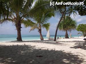 [P01] Plaja Sandies Neptune Pwani Beach » foto by JustFla
 - 
<span class="allrVoted glyphicon glyphicon-heart hidden" id="av438258"></span>
<a class="m-l-10 hidden" id="sv438258" onclick="voting_Foto_DelVot(,438258,14565)" role="button">șterge vot <span class="glyphicon glyphicon-remove"></span></a>
<a id="v9438258" class=" c-red"  onclick="voting_Foto_SetVot(438258)" role="button"><span class="glyphicon glyphicon-heart-empty"></span> <b>LIKE</b> = Votează poza</a> <img class="hidden"  id="f438258W9" src="/imagini/loader.gif" border="0" /><span class="AjErrMes hidden" id="e438258ErM"></span>