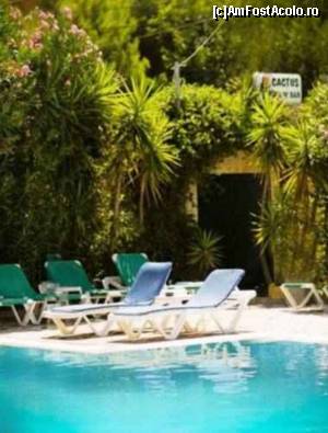[P05] Cactus hotel, piscina » foto by Paloma
 - 
<span class="allrVoted glyphicon glyphicon-heart hidden" id="av591554"></span>
<a class="m-l-10 hidden" id="sv591554" onclick="voting_Foto_DelVot(,591554,14618)" role="button">șterge vot <span class="glyphicon glyphicon-remove"></span></a>
<a id="v9591554" class=" c-red"  onclick="voting_Foto_SetVot(591554)" role="button"><span class="glyphicon glyphicon-heart-empty"></span> <b>LIKE</b> = Votează poza</a> <img class="hidden"  id="f591554W9" src="/imagini/loader.gif" border="0" /><span class="AjErrMes hidden" id="e591554ErM"></span>