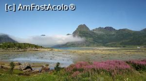 [P48] <strong>Frumusețea insulelor Lofoten</strong> » foto by elenaadina
 - 
<span class="allrVoted glyphicon glyphicon-heart hidden" id="av1405436"></span>
<a class="m-l-10 hidden" id="sv1405436" onclick="voting_Foto_DelVot(,1405436,14621)" role="button">șterge vot <span class="glyphicon glyphicon-remove"></span></a>
<a id="v91405436" class=" c-red"  onclick="voting_Foto_SetVot(1405436)" role="button"><span class="glyphicon glyphicon-heart-empty"></span> <b>LIKE</b> = Votează poza</a> <img class="hidden"  id="f1405436W9" src="/imagini/loader.gif" border="0" /><span class="AjErrMes hidden" id="e1405436ErM"></span>