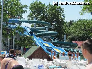 [P14] Topoganele cu apa » foto by fra
 - 
<span class="allrVoted glyphicon glyphicon-heart hidden" id="av348482"></span>
<a class="m-l-10 hidden" id="sv348482" onclick="voting_Foto_DelVot(,348482,14626)" role="button">șterge vot <span class="glyphicon glyphicon-remove"></span></a>
<a id="v9348482" class=" c-red"  onclick="voting_Foto_SetVot(348482)" role="button"><span class="glyphicon glyphicon-heart-empty"></span> <b>LIKE</b> = Votează poza</a> <img class="hidden"  id="f348482W9" src="/imagini/loader.gif" border="0" /><span class="AjErrMes hidden" id="e348482ErM"></span>