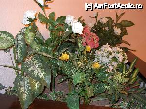 [P13] Aranjamente de flori din holul hotelului » foto by Alina Roxana
 - 
<span class="allrVoted glyphicon glyphicon-heart hidden" id="av440496"></span>
<a class="m-l-10 hidden" id="sv440496" onclick="voting_Foto_DelVot(,440496,14632)" role="button">șterge vot <span class="glyphicon glyphicon-remove"></span></a>
<a id="v9440496" class=" c-red"  onclick="voting_Foto_SetVot(440496)" role="button"><span class="glyphicon glyphicon-heart-empty"></span> <b>LIKE</b> = Votează poza</a> <img class="hidden"  id="f440496W9" src="/imagini/loader.gif" border="0" /><span class="AjErrMes hidden" id="e440496ErM"></span>
