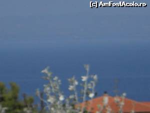 [P06] ASA S-A VAZUT MAREA DE PE BALCONUL CAMEREI DE LA ETAJUL2! CAM DEPARTE TOTUSI!  » foto by mihaiela
 - 
<span class="allrVoted glyphicon glyphicon-heart hidden" id="av541221"></span>
<a class="m-l-10 hidden" id="sv541221" onclick="voting_Foto_DelVot(,541221,14635)" role="button">șterge vot <span class="glyphicon glyphicon-remove"></span></a>
<a id="v9541221" class=" c-red"  onclick="voting_Foto_SetVot(541221)" role="button"><span class="glyphicon glyphicon-heart-empty"></span> <b>LIKE</b> = Votează poza</a> <img class="hidden"  id="f541221W9" src="/imagini/loader.gif" border="0" /><span class="AjErrMes hidden" id="e541221ErM"></span>