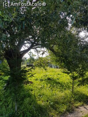 [P20] Pensiunea Nadine - vederea de pe balcon este foarte frumoasa... natura le salvează pe toate, nu-i așa?  » foto by sunflower
 - 
<span class="allrVoted glyphicon glyphicon-heart hidden" id="av1006079"></span>
<a class="m-l-10 hidden" id="sv1006079" onclick="voting_Foto_DelVot(,1006079,14641)" role="button">șterge vot <span class="glyphicon glyphicon-remove"></span></a>
<a id="v91006079" class=" c-red"  onclick="voting_Foto_SetVot(1006079)" role="button"><span class="glyphicon glyphicon-heart-empty"></span> <b>LIKE</b> = Votează poza</a> <img class="hidden"  id="f1006079W9" src="/imagini/loader.gif" border="0" /><span class="AjErrMes hidden" id="e1006079ErM"></span>