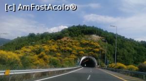 [P05] Un alt tunel de pe Egnatia Odos » foto by costy69*
 - 
<span class="allrVoted glyphicon glyphicon-heart hidden" id="av882814"></span>
<a class="m-l-10 hidden" id="sv882814" onclick="voting_Foto_DelVot(,882814,14642)" role="button">șterge vot <span class="glyphicon glyphicon-remove"></span></a>
<a id="v9882814" class=" c-red"  onclick="voting_Foto_SetVot(882814)" role="button"><span class="glyphicon glyphicon-heart-empty"></span> <b>LIKE</b> = Votează poza</a> <img class="hidden"  id="f882814W9" src="/imagini/loader.gif" border="0" /><span class="AjErrMes hidden" id="e882814ErM"></span>