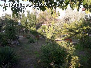 [P11] Loc de jucat ascunselea » foto by Imola
 - 
<span class="allrVoted glyphicon glyphicon-heart hidden" id="av1173216"></span>
<a class="m-l-10 hidden" id="sv1173216" onclick="voting_Foto_DelVot(,1173216,14645)" role="button">șterge vot <span class="glyphicon glyphicon-remove"></span></a>
<a id="v91173216" class=" c-red"  onclick="voting_Foto_SetVot(1173216)" role="button"><span class="glyphicon glyphicon-heart-empty"></span> <b>LIKE</b> = Votează poza</a> <img class="hidden"  id="f1173216W9" src="/imagini/loader.gif" border="0" /><span class="AjErrMes hidden" id="e1173216ErM"></span>