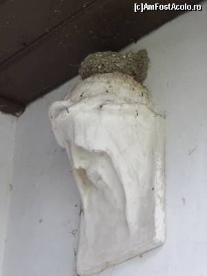 [P20] Peste tot: cuiburi de rândunele.  » foto by tata123 🔱
 - 
<span class="allrVoted glyphicon glyphicon-heart hidden" id="av623439"></span>
<a class="m-l-10 hidden" id="sv623439" onclick="voting_Foto_DelVot(,623439,14664)" role="button">șterge vot <span class="glyphicon glyphicon-remove"></span></a>
<a id="v9623439" class=" c-red"  onclick="voting_Foto_SetVot(623439)" role="button"><span class="glyphicon glyphicon-heart-empty"></span> <b>LIKE</b> = Votează poza</a> <img class="hidden"  id="f623439W9" src="/imagini/loader.gif" border="0" /><span class="AjErrMes hidden" id="e623439ErM"></span>