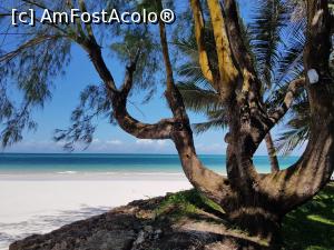 [P06] Diani Beach in ianuarie 2019.  » foto by Simona31
 - 
<span class="allrVoted glyphicon glyphicon-heart hidden" id="av1046619"></span>
<a class="m-l-10 hidden" id="sv1046619" onclick="voting_Foto_DelVot(,1046619,14668)" role="button">șterge vot <span class="glyphicon glyphicon-remove"></span></a>
<a id="v91046619" class=" c-red"  onclick="voting_Foto_SetVot(1046619)" role="button"><span class="glyphicon glyphicon-heart-empty"></span> <b>LIKE</b> = Votează poza</a> <img class="hidden"  id="f1046619W9" src="/imagini/loader.gif" border="0" /><span class="AjErrMes hidden" id="e1046619ErM"></span>