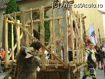 [P17] Festivalul Medieval Sighisoara - condamnatul, impingandu-se printre gratii » foto by biancuta
 - 
<span class="allrVoted glyphicon glyphicon-heart hidden" id="av103323"></span>
<a class="m-l-10 hidden" id="sv103323" onclick="voting_Foto_DelVot(,103323,14670)" role="button">șterge vot <span class="glyphicon glyphicon-remove"></span></a>
<a id="v9103323" class=" c-red"  onclick="voting_Foto_SetVot(103323)" role="button"><span class="glyphicon glyphicon-heart-empty"></span> <b>LIKE</b> = Votează poza</a> <img class="hidden"  id="f103323W9" src="/imagini/loader.gif" border="0" /><span class="AjErrMes hidden" id="e103323ErM"></span>