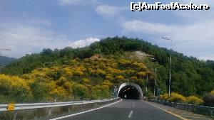 [P18] Unul dintre tunelurile de pe Egnatia Odos » foto by costy69*
 - 
<span class="allrVoted glyphicon glyphicon-heart hidden" id="av628132"></span>
<a class="m-l-10 hidden" id="sv628132" onclick="voting_Foto_DelVot(,628132,14691)" role="button">șterge vot <span class="glyphicon glyphicon-remove"></span></a>
<a id="v9628132" class=" c-red"  onclick="voting_Foto_SetVot(628132)" role="button"><span class="glyphicon glyphicon-heart-empty"></span> <b>LIKE</b> = Votează poza</a> <img class="hidden"  id="f628132W9" src="/imagini/loader.gif" border="0" /><span class="AjErrMes hidden" id="e628132ErM"></span>