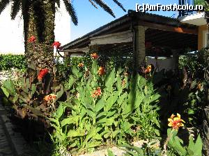 [P18] Curtea Mires House - Agios Gordios, Corfu » foto by vlado2
 - 
<span class="allrVoted glyphicon glyphicon-heart hidden" id="av574701"></span>
<a class="m-l-10 hidden" id="sv574701" onclick="voting_Foto_DelVot(,574701,14693)" role="button">șterge vot <span class="glyphicon glyphicon-remove"></span></a>
<a id="v9574701" class=" c-red"  onclick="voting_Foto_SetVot(574701)" role="button"><span class="glyphicon glyphicon-heart-empty"></span> <b>LIKE</b> = Votează poza</a> <img class="hidden"  id="f574701W9" src="/imagini/loader.gif" border="0" /><span class="AjErrMes hidden" id="e574701ErM"></span>