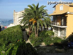 [P09] Mires House - Agios Gordios, Corfu » foto by vlado2
 - 
<span class="allrVoted glyphicon glyphicon-heart hidden" id="av574692"></span>
<a class="m-l-10 hidden" id="sv574692" onclick="voting_Foto_DelVot(,574692,14693)" role="button">șterge vot <span class="glyphicon glyphicon-remove"></span></a>
<a id="v9574692" class=" c-red"  onclick="voting_Foto_SetVot(574692)" role="button"><span class="glyphicon glyphicon-heart-empty"></span> <b>LIKE</b> = Votează poza</a> <img class="hidden"  id="f574692W9" src="/imagini/loader.gif" border="0" /><span class="AjErrMes hidden" id="e574692ErM"></span>