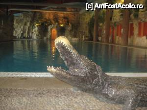 [P05] Bazinul semi-olimpic e pazit de un crocodil de beton si pe malul celalalt, de o broasca testoasa » foto by dorgo
 - 
<span class="allrVoted glyphicon glyphicon-heart hidden" id="av443248"></span>
<a class="m-l-10 hidden" id="sv443248" onclick="voting_Foto_DelVot(,443248,14708)" role="button">șterge vot <span class="glyphicon glyphicon-remove"></span></a>
<a id="v9443248" class=" c-red"  onclick="voting_Foto_SetVot(443248)" role="button"><span class="glyphicon glyphicon-heart-empty"></span> <b>LIKE</b> = Votează poza</a> <img class="hidden"  id="f443248W9" src="/imagini/loader.gif" border="0" /><span class="AjErrMes hidden" id="e443248ErM"></span>