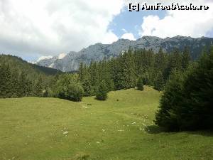 [P02] Aici am fost in excursie spre Piatra Craiului... minunat!  » foto by tzuky22
 - 
<span class="allrVoted glyphicon glyphicon-heart hidden" id="av550382"></span>
<a class="m-l-10 hidden" id="sv550382" onclick="voting_Foto_DelVot(,550382,14736)" role="button">șterge vot <span class="glyphicon glyphicon-remove"></span></a>
<a id="v9550382" class=" c-red"  onclick="voting_Foto_SetVot(550382)" role="button"><span class="glyphicon glyphicon-heart-empty"></span> <b>LIKE</b> = Votează poza</a> <img class="hidden"  id="f550382W9" src="/imagini/loader.gif" border="0" /><span class="AjErrMes hidden" id="e550382ErM"></span>