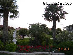 [P11] Detaliu floral in gradina » foto by bitnic
 - 
<span class="allrVoted glyphicon glyphicon-heart hidden" id="av445013"></span>
<a class="m-l-10 hidden" id="sv445013" onclick="voting_Foto_DelVot(,445013,14756)" role="button">șterge vot <span class="glyphicon glyphicon-remove"></span></a>
<a id="v9445013" class=" c-red"  onclick="voting_Foto_SetVot(445013)" role="button"><span class="glyphicon glyphicon-heart-empty"></span> <b>LIKE</b> = Votează poza</a> <img class="hidden"  id="f445013W9" src="/imagini/loader.gif" border="0" /><span class="AjErrMes hidden" id="e445013ErM"></span>