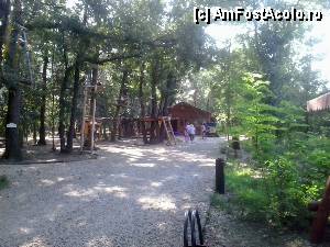 [P05] Parcul de aventură Phoenix Cernica - o parte dintre intrările pe trasee, pe aleea spre cabană.  » foto by Dragoș_MD
 - 
<span class="allrVoted glyphicon glyphicon-heart hidden" id="av444760"></span>
<a class="m-l-10 hidden" id="sv444760" onclick="voting_Foto_DelVot(,444760,14760)" role="button">șterge vot <span class="glyphicon glyphicon-remove"></span></a>
<a id="v9444760" class=" c-red"  onclick="voting_Foto_SetVot(444760)" role="button"><span class="glyphicon glyphicon-heart-empty"></span> <b>LIKE</b> = Votează poza</a> <img class="hidden"  id="f444760W9" src="/imagini/loader.gif" border="0" /><span class="AjErrMes hidden" id="e444760ErM"></span>