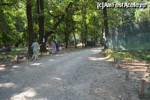 [P02] Phoenix Cernica Extreme Park - pe stânga, locuri de picnic și grătar; pe dreapta - terenul de pain-ball » foto by Dragoș_MD
 - 
<span class="allrVoted glyphicon glyphicon-heart hidden" id="av654949"></span>
<a class="m-l-10 hidden" id="sv654949" onclick="voting_Foto_DelVot(,654949,14760)" role="button">șterge vot <span class="glyphicon glyphicon-remove"></span></a>
<a id="v9654949" class=" c-red"  onclick="voting_Foto_SetVot(654949)" role="button"><span class="glyphicon glyphicon-heart-empty"></span> <b>LIKE</b> = Votează poza</a> <img class="hidden"  id="f654949W9" src="/imagini/loader.gif" border="0" /><span class="AjErrMes hidden" id="e654949ErM"></span>
