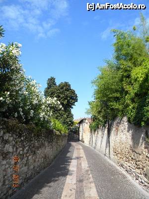 [P09] Strada in interiorul Castelului, pe care circulau masinile localnicilor » foto by bitnic
 - 
<span class="allrVoted glyphicon glyphicon-heart hidden" id="av445223"></span>
<a class="m-l-10 hidden" id="sv445223" onclick="voting_Foto_DelVot(,445223,14770)" role="button">șterge vot <span class="glyphicon glyphicon-remove"></span></a>
<a id="v9445223" class=" c-red"  onclick="voting_Foto_SetVot(445223)" role="button"><span class="glyphicon glyphicon-heart-empty"></span> <b>LIKE</b> = Votează poza</a> <img class="hidden"  id="f445223W9" src="/imagini/loader.gif" border="0" /><span class="AjErrMes hidden" id="e445223ErM"></span>