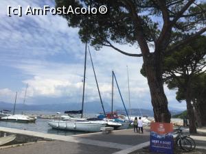 [P43] Lazise - Barcute de inchiriat » foto by mishu
 - 
<span class="allrVoted glyphicon glyphicon-heart hidden" id="av1036469"></span>
<a class="m-l-10 hidden" id="sv1036469" onclick="voting_Foto_DelVot(,1036469,14770)" role="button">șterge vot <span class="glyphicon glyphicon-remove"></span></a>
<a id="v91036469" class=" c-red"  onclick="voting_Foto_SetVot(1036469)" role="button"><span class="glyphicon glyphicon-heart-empty"></span> <b>LIKE</b> = Votează poza</a> <img class="hidden"  id="f1036469W9" src="/imagini/loader.gif" border="0" /><span class="AjErrMes hidden" id="e1036469ErM"></span>