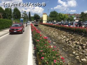 [P55] Lazise - Si iata si DACIA » foto by mishu
 - 
<span class="allrVoted glyphicon glyphicon-heart hidden" id="av1036486"></span>
<a class="m-l-10 hidden" id="sv1036486" onclick="voting_Foto_DelVot(,1036486,14770)" role="button">șterge vot <span class="glyphicon glyphicon-remove"></span></a>
<a id="v91036486" class=" c-red"  onclick="voting_Foto_SetVot(1036486)" role="button"><span class="glyphicon glyphicon-heart-empty"></span> <b>LIKE</b> = Votează poza</a> <img class="hidden"  id="f1036486W9" src="/imagini/loader.gif" border="0" /><span class="AjErrMes hidden" id="e1036486ErM"></span>