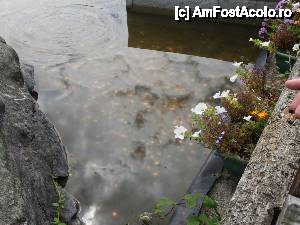 [P10] 'Clonakilty: în căutarea trenului pierdut' / Nu e Fontana di Trevi dar sper ca nu am dat cuiva idei...  » foto by DanCld
 - 
<span class="allrVoted glyphicon glyphicon-heart hidden" id="av452948"></span>
<a class="m-l-10 hidden" id="sv452948" onclick="voting_Foto_DelVot(,452948,14774)" role="button">șterge vot <span class="glyphicon glyphicon-remove"></span></a>
<a id="v9452948" class=" c-red"  onclick="voting_Foto_SetVot(452948)" role="button"><span class="glyphicon glyphicon-heart-empty"></span> <b>LIKE</b> = Votează poza</a> <img class="hidden"  id="f452948W9" src="/imagini/loader.gif" border="0" /><span class="AjErrMes hidden" id="e452948ErM"></span>