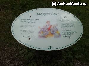 [P03] Badgers Cave - legenda » foto by DanCld
 - 
<span class="allrVoted glyphicon glyphicon-heart hidden" id="av453537"></span>
<a class="m-l-10 hidden" id="sv453537" onclick="voting_Foto_DelVot(,453537,14774)" role="button">șterge vot <span class="glyphicon glyphicon-remove"></span></a>
<a id="v9453537" class=" c-red"  onclick="voting_Foto_SetVot(453537)" role="button"><span class="glyphicon glyphicon-heart-empty"></span> <b>LIKE</b> = Votează poza</a> <img class="hidden"  id="f453537W9" src="/imagini/loader.gif" border="0" /><span class="AjErrMes hidden" id="e453537ErM"></span>