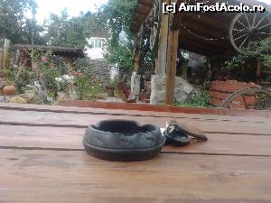 [P25] Şi aici au scrumieră din ceramica vecinilor » foto by LidiaV
 - 
<span class="allrVoted glyphicon glyphicon-heart hidden" id="av557449"></span>
<a class="m-l-10 hidden" id="sv557449" onclick="voting_Foto_DelVot(,557449,14790)" role="button">șterge vot <span class="glyphicon glyphicon-remove"></span></a>
<a id="v9557449" class=" c-red"  onclick="voting_Foto_SetVot(557449)" role="button"><span class="glyphicon glyphicon-heart-empty"></span> <b>LIKE</b> = Votează poza</a> <img class="hidden"  id="f557449W9" src="/imagini/loader.gif" border="0" /><span class="AjErrMes hidden" id="e557449ErM"></span>
