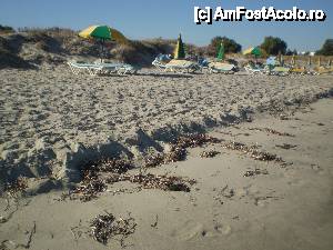 [P03] Plaja din Marmari, insula Kos » foto by mirunat
 - 
<span class="allrVoted glyphicon glyphicon-heart hidden" id="av446218"></span>
<a class="m-l-10 hidden" id="sv446218" onclick="voting_Foto_DelVot(,446218,14796)" role="button">șterge vot <span class="glyphicon glyphicon-remove"></span></a>
<a id="v9446218" class=" c-red"  onclick="voting_Foto_SetVot(446218)" role="button"><span class="glyphicon glyphicon-heart-empty"></span> <b>LIKE</b> = Votează poza</a> <img class="hidden"  id="f446218W9" src="/imagini/loader.gif" border="0" /><span class="AjErrMes hidden" id="e446218ErM"></span>