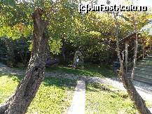 [P09]  -- <small>// FĂRĂ DESCRIERE</small> » foto by mprofeanu
 - 
<span class="allrVoted glyphicon glyphicon-heart hidden" id="av446427"></span>
<a class="m-l-10 hidden" id="sv446427" onclick="voting_Foto_DelVot(,446427,14801)" role="button">șterge vot <span class="glyphicon glyphicon-remove"></span></a>
<a id="v9446427" class=" c-red"  onclick="voting_Foto_SetVot(446427)" role="button"><span class="glyphicon glyphicon-heart-empty"></span> <b>LIKE</b> = Votează poza</a> <img class="hidden"  id="f446427W9" src="/imagini/loader.gif" border="0" /><span class="AjErrMes hidden" id="e446427ErM"></span>