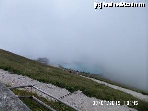 [P32] Peticul de lac Wolfgang...  » foto by Alina53
 - 
<span class="allrVoted glyphicon glyphicon-heart hidden" id="av690008"></span>
<a class="m-l-10 hidden" id="sv690008" onclick="voting_Foto_DelVot(,690008,14815)" role="button">șterge vot <span class="glyphicon glyphicon-remove"></span></a>
<a id="v9690008" class=" c-red"  onclick="voting_Foto_SetVot(690008)" role="button"><span class="glyphicon glyphicon-heart-empty"></span> <b>LIKE</b> = Votează poza</a> <img class="hidden"  id="f690008W9" src="/imagini/loader.gif" border="0" /><span class="AjErrMes hidden" id="e690008ErM"></span>