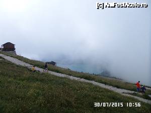 [P35]  -- <small>// FĂRĂ DESCRIERE</small> » foto by Alina53
 - 
<span class="allrVoted glyphicon glyphicon-heart hidden" id="av690012"></span>
<a class="m-l-10 hidden" id="sv690012" onclick="voting_Foto_DelVot(,690012,14815)" role="button">șterge vot <span class="glyphicon glyphicon-remove"></span></a>
<a id="v9690012" class=" c-red"  onclick="voting_Foto_SetVot(690012)" role="button"><span class="glyphicon glyphicon-heart-empty"></span> <b>LIKE</b> = Votează poza</a> <img class="hidden"  id="f690012W9" src="/imagini/loader.gif" border="0" /><span class="AjErrMes hidden" id="e690012ErM"></span>