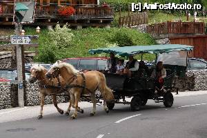 [P74]  -- <small>// FĂRĂ DESCRIERE</small> » foto by Alina53
 - 
<span class="allrVoted glyphicon glyphicon-heart hidden" id="av692234"></span>
<a class="m-l-10 hidden" id="sv692234" onclick="voting_Foto_DelVot(,692234,14815)" role="button">șterge vot <span class="glyphicon glyphicon-remove"></span></a>
<a id="v9692234" class=" c-red"  onclick="voting_Foto_SetVot(692234)" role="button"><span class="glyphicon glyphicon-heart-empty"></span> <b>LIKE</b> = Votează poza</a> <img class="hidden"  id="f692234W9" src="/imagini/loader.gif" border="0" /><span class="AjErrMes hidden" id="e692234ErM"></span>