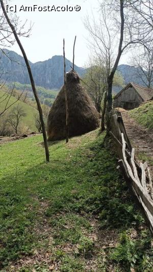 [P26] Căpițe în grădină » foto by Daniela H
 - 
<span class="allrVoted glyphicon glyphicon-heart hidden" id="av1357823"></span>
<a class="m-l-10 hidden" id="sv1357823" onclick="voting_Foto_DelVot(,1357823,14820)" role="button">șterge vot <span class="glyphicon glyphicon-remove"></span></a>
<a id="v91357823" class=" c-red"  onclick="voting_Foto_SetVot(1357823)" role="button"><span class="glyphicon glyphicon-heart-empty"></span> <b>LIKE</b> = Votează poza</a> <img class="hidden"  id="f1357823W9" src="/imagini/loader.gif" border="0" /><span class="AjErrMes hidden" id="e1357823ErM"></span>