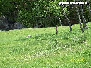 [P27] Poiana de la intrarea in chei » foto by DanTal74
 - 
<span class="allrVoted glyphicon glyphicon-heart hidden" id="av518538"></span>
<a class="m-l-10 hidden" id="sv518538" onclick="voting_Foto_DelVot(,518538,14820)" role="button">șterge vot <span class="glyphicon glyphicon-remove"></span></a>
<a id="v9518538" class=" c-red"  onclick="voting_Foto_SetVot(518538)" role="button"><span class="glyphicon glyphicon-heart-empty"></span> <b>LIKE</b> = Votează poza</a> <img class="hidden"  id="f518538W9" src="/imagini/loader.gif" border="0" /><span class="AjErrMes hidden" id="e518538ErM"></span>