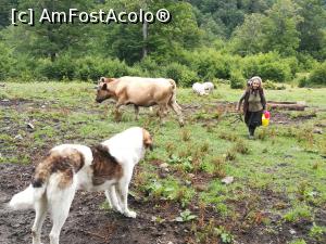 [P01] Ciobănița de la stână ne aduce laptele » foto by Mika
 - 
<span class="allrVoted glyphicon glyphicon-heart hidden" id="av1175572"></span>
<a class="m-l-10 hidden" id="sv1175572" onclick="voting_Foto_DelVot(,1175572,14820)" role="button">șterge vot <span class="glyphicon glyphicon-remove"></span></a>
<a id="v91175572" class=" c-red"  onclick="voting_Foto_SetVot(1175572)" role="button"><span class="glyphicon glyphicon-heart-empty"></span> <b>LIKE</b> = Votează poza</a> <img class="hidden"  id="f1175572W9" src="/imagini/loader.gif" border="0" /><span class="AjErrMes hidden" id="e1175572ErM"></span>