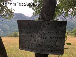 [P21] Invitație! » foto by Mika
 - 
<span class="allrVoted glyphicon glyphicon-heart hidden" id="av1175592"></span>
<a class="m-l-10 hidden" id="sv1175592" onclick="voting_Foto_DelVot(,1175592,14820)" role="button">șterge vot <span class="glyphicon glyphicon-remove"></span></a>
<a id="v91175592" class=" c-red"  onclick="voting_Foto_SetVot(1175592)" role="button"><span class="glyphicon glyphicon-heart-empty"></span> <b>LIKE</b> = Votează poza</a> <img class="hidden"  id="f1175592W9" src="/imagini/loader.gif" border="0" /><span class="AjErrMes hidden" id="e1175592ErM"></span>
