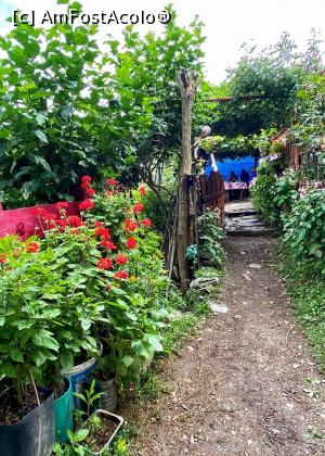 [P23] Acasă la Nea Avram » foto by Mika
 - 
<span class="allrVoted glyphicon glyphicon-heart hidden" id="av1175594"></span>
<a class="m-l-10 hidden" id="sv1175594" onclick="voting_Foto_DelVot(,1175594,14820)" role="button">șterge vot <span class="glyphicon glyphicon-remove"></span></a>
<a id="v91175594" class=" c-red"  onclick="voting_Foto_SetVot(1175594)" role="button"><span class="glyphicon glyphicon-heart-empty"></span> <b>LIKE</b> = Votează poza</a> <img class="hidden"  id="f1175594W9" src="/imagini/loader.gif" border="0" /><span class="AjErrMes hidden" id="e1175594ErM"></span>