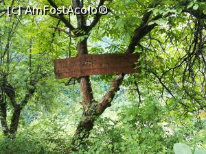 [P29] Placă din lem, amplasată la capătul scărilor, n pe care era scris Tatăl Nostru » foto by Mika
 - 
<span class="allrVoted glyphicon glyphicon-heart hidden" id="av1175600"></span>
<a class="m-l-10 hidden" id="sv1175600" onclick="voting_Foto_DelVot(,1175600,14820)" role="button">șterge vot <span class="glyphicon glyphicon-remove"></span></a>
<a id="v91175600" class=" c-red"  onclick="voting_Foto_SetVot(1175600)" role="button"><span class="glyphicon glyphicon-heart-empty"></span> <b>LIKE</b> = Votează poza</a> <img class="hidden"  id="f1175600W9" src="/imagini/loader.gif" border="0" /><span class="AjErrMes hidden" id="e1175600ErM"></span>