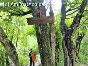[P32] La capătul scărilor sunt amplasate cruci din lemn și plăcuțe din lemn pe care sunt scrise rugăciuni » foto by Mika
 - 
<span class="allrVoted glyphicon glyphicon-heart hidden" id="av1175603"></span>
<a class="m-l-10 hidden" id="sv1175603" onclick="voting_Foto_DelVot(,1175603,14820)" role="button">șterge vot <span class="glyphicon glyphicon-remove"></span></a>
<a id="v91175603" class=" c-red"  onclick="voting_Foto_SetVot(1175603)" role="button"><span class="glyphicon glyphicon-heart-empty"></span> <b>LIKE</b> = Votează poza</a> <img class="hidden"  id="f1175603W9" src="/imagini/loader.gif" border="0" /><span class="AjErrMes hidden" id="e1175603ErM"></span>