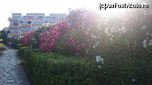 [P14]  -- <small>// FĂRĂ DESCRIERE</small> » foto by batman
 - 
<span class="allrVoted glyphicon glyphicon-heart hidden" id="av642787"></span>
<a class="m-l-10 hidden" id="sv642787" onclick="voting_Foto_DelVot(,642787,14844)" role="button">șterge vot <span class="glyphicon glyphicon-remove"></span></a>
<a id="v9642787" class=" c-red"  onclick="voting_Foto_SetVot(642787)" role="button"><span class="glyphicon glyphicon-heart-empty"></span> <b>LIKE</b> = Votează poza</a> <img class="hidden"  id="f642787W9" src="/imagini/loader.gif" border="0" /><span class="AjErrMes hidden" id="e642787ErM"></span>