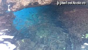 [P18] Undeva in Paleokastritsa...  » foto by batman
 - 
<span class="allrVoted glyphicon glyphicon-heart hidden" id="av642806"></span>
<a class="m-l-10 hidden" id="sv642806" onclick="voting_Foto_DelVot(,642806,14844)" role="button">șterge vot <span class="glyphicon glyphicon-remove"></span></a>
<a id="v9642806" class=" c-red"  onclick="voting_Foto_SetVot(642806)" role="button"><span class="glyphicon glyphicon-heart-empty"></span> <b>LIKE</b> = Votează poza</a> <img class="hidden"  id="f642806W9" src="/imagini/loader.gif" border="0" /><span class="AjErrMes hidden" id="e642806ErM"></span>