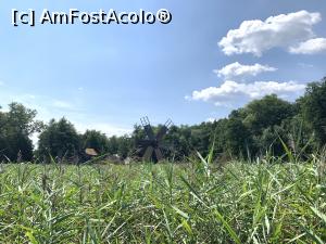 [P07] Muzeul Astra-stufaris, mori de vant si mindfulness » foto by AudreyJ
 - 
<span class="allrVoted glyphicon glyphicon-heart hidden" id="av1205767"></span>
<a class="m-l-10 hidden" id="sv1205767" onclick="voting_Foto_DelVot(,1205767,14876)" role="button">șterge vot <span class="glyphicon glyphicon-remove"></span></a>
<a id="v91205767" class=" c-red"  onclick="voting_Foto_SetVot(1205767)" role="button"><span class="glyphicon glyphicon-heart-empty"></span> <b>LIKE</b> = Votează poza</a> <img class="hidden"  id="f1205767W9" src="/imagini/loader.gif" border="0" /><span class="AjErrMes hidden" id="e1205767ErM"></span>