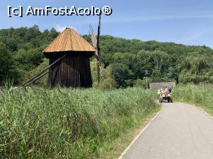 [P08] Muzeul Astra- » foto by AudreyJ
 - 
<span class="allrVoted glyphicon glyphicon-heart hidden" id="av1205768"></span>
<a class="m-l-10 hidden" id="sv1205768" onclick="voting_Foto_DelVot(,1205768,14876)" role="button">șterge vot <span class="glyphicon glyphicon-remove"></span></a>
<a id="v91205768" class=" c-red"  onclick="voting_Foto_SetVot(1205768)" role="button"><span class="glyphicon glyphicon-heart-empty"></span> <b>LIKE</b> = Votează poza</a> <img class="hidden"  id="f1205768W9" src="/imagini/loader.gif" border="0" /><span class="AjErrMes hidden" id="e1205768ErM"></span>