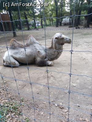 [P13]  -- <small>// FĂRĂ DESCRIERE</small> » foto by photozo
 - 
<span class="allrVoted glyphicon glyphicon-heart hidden" id="av1329240"></span>
<a class="m-l-10 hidden" id="sv1329240" onclick="voting_Foto_DelVot(,1329240,14876)" role="button">șterge vot <span class="glyphicon glyphicon-remove"></span></a>
<a id="v91329240" class=" c-red"  onclick="voting_Foto_SetVot(1329240)" role="button"><span class="glyphicon glyphicon-heart-empty"></span> <b>LIKE</b> = Votează poza</a> <img class="hidden"  id="f1329240W9" src="/imagini/loader.gif" border="0" /><span class="AjErrMes hidden" id="e1329240ErM"></span>