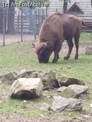 [P14]  -- <small>// FĂRĂ DESCRIERE</small> » foto by photozo
 - 
<span class="allrVoted glyphicon glyphicon-heart hidden" id="av1329241"></span>
<a class="m-l-10 hidden" id="sv1329241" onclick="voting_Foto_DelVot(,1329241,14876)" role="button">șterge vot <span class="glyphicon glyphicon-remove"></span></a>
<a id="v91329241" class=" c-red"  onclick="voting_Foto_SetVot(1329241)" role="button"><span class="glyphicon glyphicon-heart-empty"></span> <b>LIKE</b> = Votează poza</a> <img class="hidden"  id="f1329241W9" src="/imagini/loader.gif" border="0" /><span class="AjErrMes hidden" id="e1329241ErM"></span>