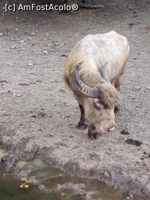 [P15]  -- <small>// FĂRĂ DESCRIERE</small> » foto by photozo
 - 
<span class="allrVoted glyphicon glyphicon-heart hidden" id="av1329242"></span>
<a class="m-l-10 hidden" id="sv1329242" onclick="voting_Foto_DelVot(,1329242,14876)" role="button">șterge vot <span class="glyphicon glyphicon-remove"></span></a>
<a id="v91329242" class=" c-red"  onclick="voting_Foto_SetVot(1329242)" role="button"><span class="glyphicon glyphicon-heart-empty"></span> <b>LIKE</b> = Votează poza</a> <img class="hidden"  id="f1329242W9" src="/imagini/loader.gif" border="0" /><span class="AjErrMes hidden" id="e1329242ErM"></span>