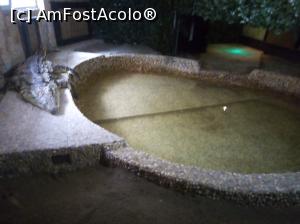 [P07]  -- <small>// FĂRĂ DESCRIERE</small> » foto by photozo
 - 
<span class="allrVoted glyphicon glyphicon-heart hidden" id="av1329234"></span>
<a class="m-l-10 hidden" id="sv1329234" onclick="voting_Foto_DelVot(,1329234,14876)" role="button">șterge vot <span class="glyphicon glyphicon-remove"></span></a>
<a id="v91329234" class=" c-red"  onclick="voting_Foto_SetVot(1329234)" role="button"><span class="glyphicon glyphicon-heart-empty"></span> <b>LIKE</b> = Votează poza</a> <img class="hidden"  id="f1329234W9" src="/imagini/loader.gif" border="0" /><span class="AjErrMes hidden" id="e1329234ErM"></span>