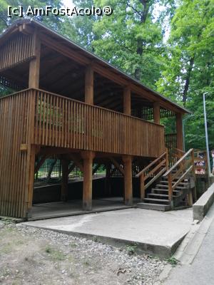 [P11] Observator animale » foto by nelu73
 - 
<span class="allrVoted glyphicon glyphicon-heart hidden" id="av1234090"></span>
<a class="m-l-10 hidden" id="sv1234090" onclick="voting_Foto_DelVot(,1234090,14876)" role="button">șterge vot <span class="glyphicon glyphicon-remove"></span></a>
<a id="v91234090" class=" c-red"  onclick="voting_Foto_SetVot(1234090)" role="button"><span class="glyphicon glyphicon-heart-empty"></span> <b>LIKE</b> = Votează poza</a> <img class="hidden"  id="f1234090W9" src="/imagini/loader.gif" border="0" /><span class="AjErrMes hidden" id="e1234090ErM"></span>